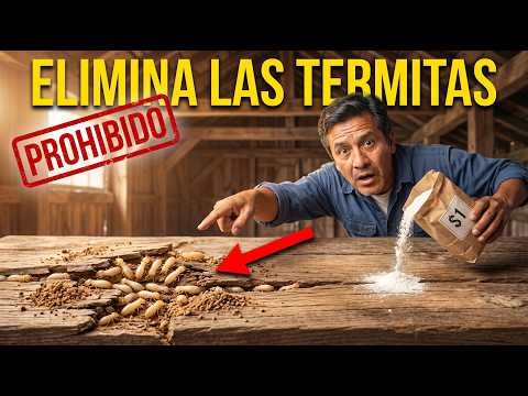 This $1 Dollar Powder Eliminates TERMITES Forever