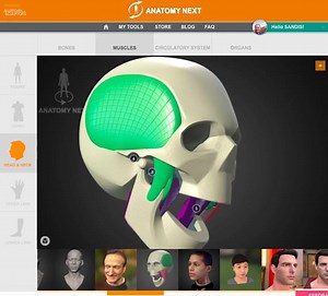 Biomehanics of mastication www.anatomynext.com https://www.anatomynext.com/anatomy_3d_library/sections/276/290 | Anatomy For Sculptors