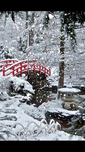 #winter #snow #magic | Christmas winter and autumn all year round