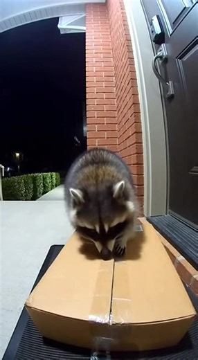 It didn't work out😂🤣😂 Assistant Zone — AI and automation #ai #aivideo #aishorts #humor #shorts