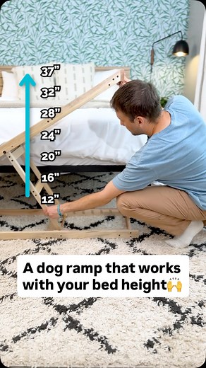 And with its unique anti-slip surface long, low-incline design (it has a 72” walkway🐾), the DoggoRamps Small Bed Ramp gives dogs a safer and easier way up and down🙌 - #dogramp #doggoramps #petramp #dogfurniture #petfurniture #dogfriendlyhome #petfriendlyhome #petfurnituremaker #petdesign #designforpets #dogsafety #dogmobility #dogparents | DoggoRamps