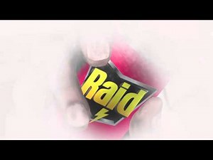 RAID Commercial