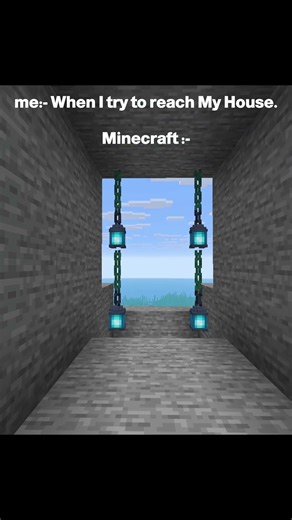 When I come to See what Brother do ... @PlayBusterz #minecraft #shorts