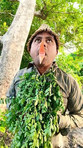 Bird sounds.....🐦#birds #birdsounds #entertainment #trending #youtubeshorts #viral #shorts #funny