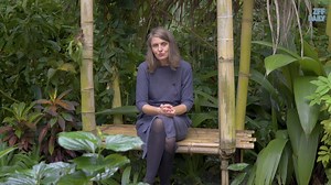 11 reactions | Über Armut und Sextourismus – Interview mit Bettina...