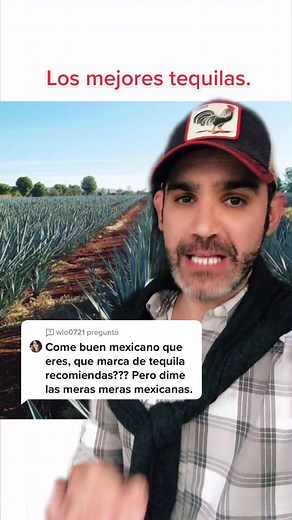 Recomendaciones de Tequila: Los Mejores para Probar