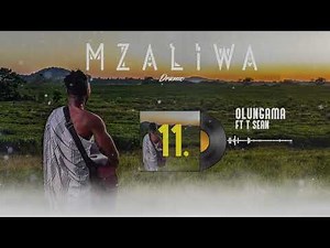 DRIEMO ft T-SEAN - OLUNGAMA (Official audio visualizer)#Mzaliwa #malawi #zambia