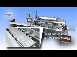 DELTA 200 Continuous Motion Cartoner