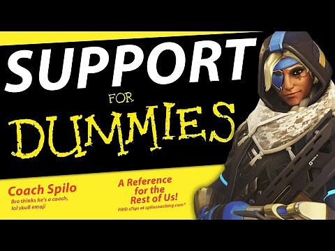 How to Play Support Like a Pro
