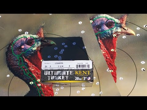 Evaluating Kent's Ultimate Turkey Load in 20 gauge.