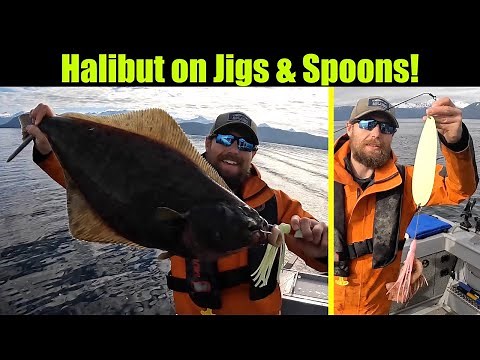 Halibut on Jigs and Spoons! Alaskan Halibut Fishing - Juneau, Alaska! JUNE 2023 #halibutfishing