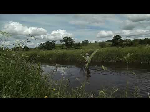 When i hooked a fish of a lifetime - Dry Fly Fishing in the Yorkshire Dales.