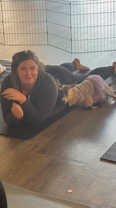 Baby Julie has found her person at GOGA | Roxiethecrazygoatlady.com