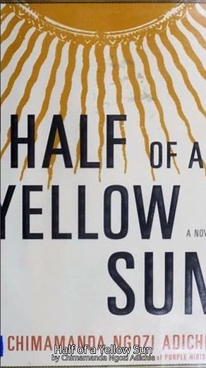 Half of a Yellow Sun in 60 Seconds | Phantom Pages #Shorts