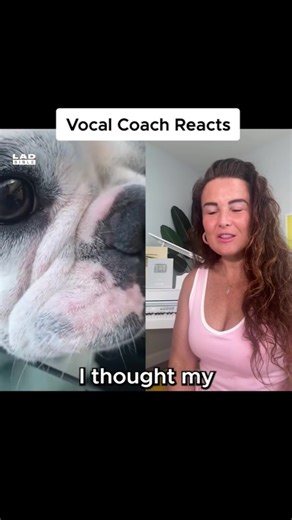 10K views · 123 reactions | #remix with LADbible. And I thought my dog was bad  Want help with your singing? Click this link to book your discounted first lesson: https://tarasimonstudios.opus1.io/w/triallesson Your breakthrough moment is waiting on the other side! #voice #onlinesinginglessons #singing10 #musicmatters #singersbelike #singer | Tara Simon Vocal Coach | Facebook