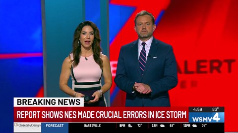 Nashville Electric Service Board releases findings from independent review after about 50% of its customers lost power during deadly ice storm