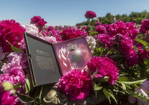 Behind the Bombshell: A Full Guide on America’s #1 Fragrance*