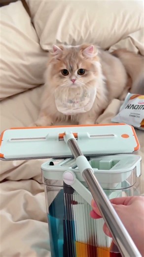 La meilleure serpillière qui soit pour les propriétaires d'animaux de compagnie !#clean #mop #cat