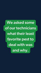 Everyone has a least favorite pest, even our techs! 🤢🪳 Share your least favorite pest in the comments below. | Terminix