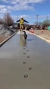 Cement masterpiece, ruined by the ultimate feline prank 😹 | Aunty Acid