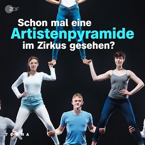 Würmer machen Räuberleiter - steckt mehr im Wurm als wir dachten? Link zur Studie: https://www.cell.com/current-biology/fulltext/S0960-9822(25)00601-3 | Terra X