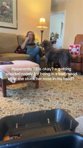 Understanding Untrained Dogs: Maggie's Food Incident