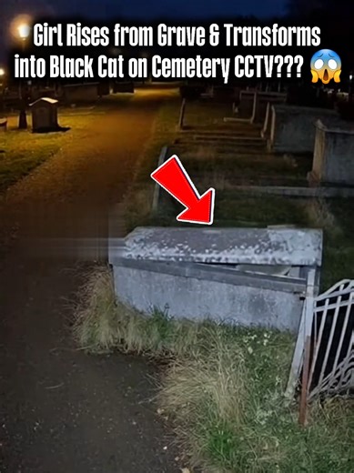 Girl Transforms into Black Cat: Cemetery CCTV Footage