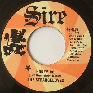 The Strangeloves - Honey Do / I Wanna Do It