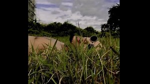 Sica - Oasis Paradise (Official Music Video DIR. by 3005.St Gonzo and Me HueForYa out now on all streaming platforms Spotify link ⬇️ https://open.spotify.com/album/43W8PwpCq2COZaTAsqoaPK?si=VD2sCukHROOm-gkXYxAJXQ&utm_source=copy-link | Sica