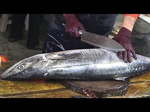 45 pounds Spanish Mackerel $200 Fillet by Sharp Knife।Fish Fillet Japanese Knife Techniques