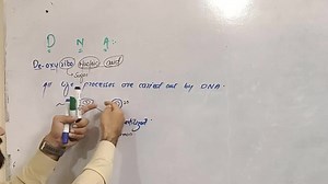 4.9K views · 725 reactions | DNA ,,, Structure and Composition of DNA | Up Teaching Academy | Facebook