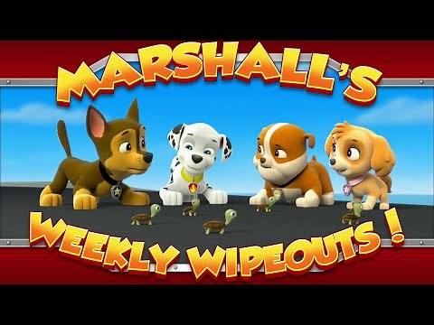 Marshall's Weekly Wipeouts! (Season 1 - Pups and the Trouble with Turtles)