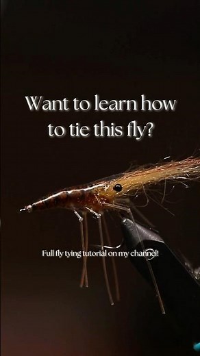 Learn How to Tie This Fly | The Glass Shrimp