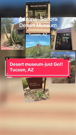 Discover the Arizona-Sonora Desert Museum in Tucson