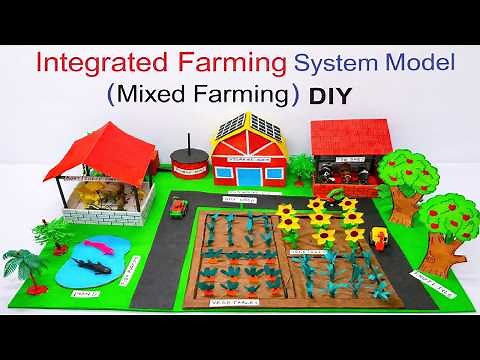 integrated farming system (IFS) model project (mixed crop ) for science exhibition | howtofunda