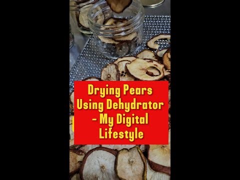 My Hobby: Drying Pears Using Dehydrator My Digital Business