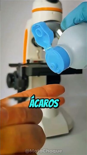 Debaixo Do Sofá Assusta 😳🔬