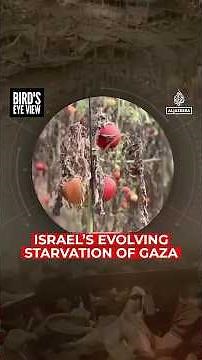 Israel’s evolving starvation of Gaza | Bird's Eye View