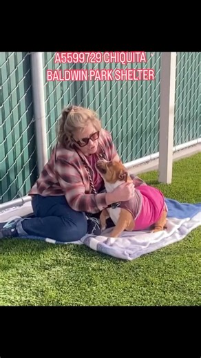 9.3K views · 322 reactions | EXTREMELY URGENT #A5599729...