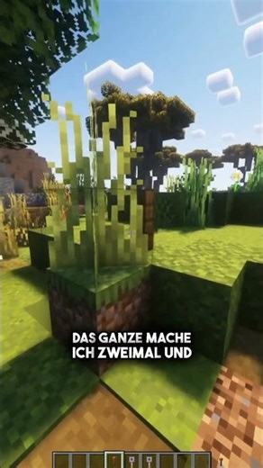 Diese 2 Gegenstände sind irgendwo am Spawn 😳 Findest du sie? #java #minecraft #mcpe