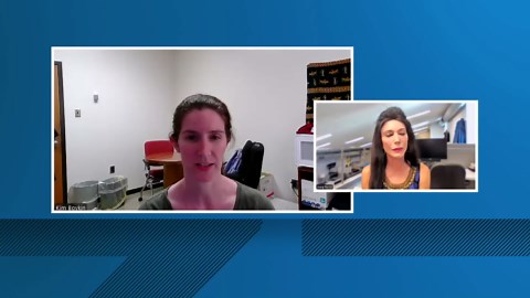 Injured bald eagle undergoes surgery at LSU Veterinary School of Medicine