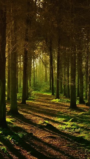 Funny Meme Quotes for a Happy Monday