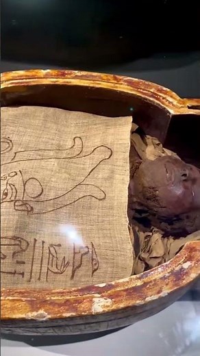 What's Inside an Egyptian Mummy?