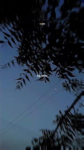 Teri kami song #shorts #shortvideo #r_world