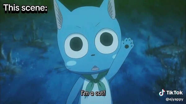 Discover the Joy of Happy Cats in Fairy Tail