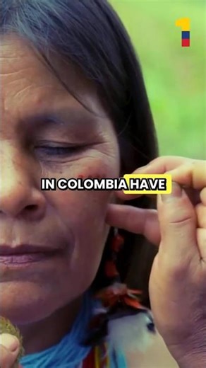 Colombia’s Natural Food Coloring 🌿 The Secret of Achiote 🇨🇴