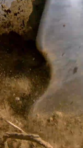 Lemken Rubin 12 munka közben #andest2005kft #lemken #farmer #mezőgazdaság #agriculture #machine #munkagép #farmlife | Andest-2005 Kft.