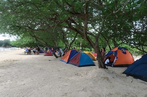 Manuel Uy Beach Resort (A P1000 Itinerary): Travel Guide