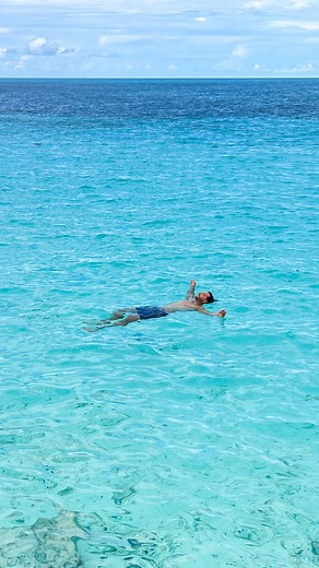 Captain Mo ¹¹⁻¹¹ on Instagram: "Diving into the weekend like … 🌊🐠 𝘈𝘯𝘻𝘦𝘪𝘨𝘦 The end of our cruise took us to the MSC Marine Reserve OCEAN CAY in the Bahamas - a beautiful private island by @msccruisesofficial. I had to dive right into the crystal blue ocean 💙 would you follow? #OceanCay #bahamas #caribbean #paradiseisland #fliptheswitch"
