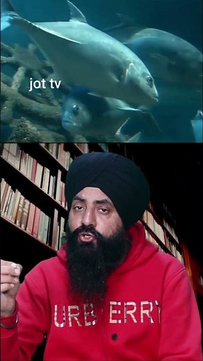 Slow and Steady: Incredible Facts About Turtles You Need to Know #TurtleFacts #TurtlePower #Wildlife